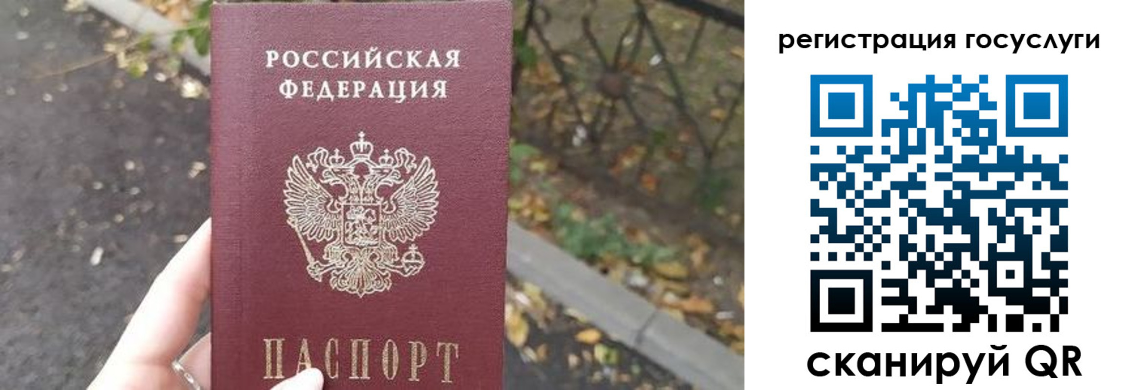 купить прописку в Касимове